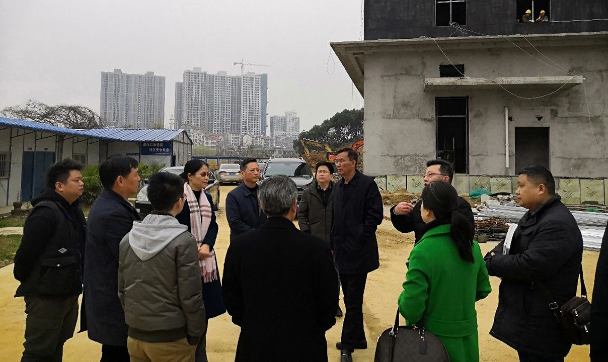 上级调研 |岳阳市政府副市长邱虹在岳阳市美术馆新馆调研