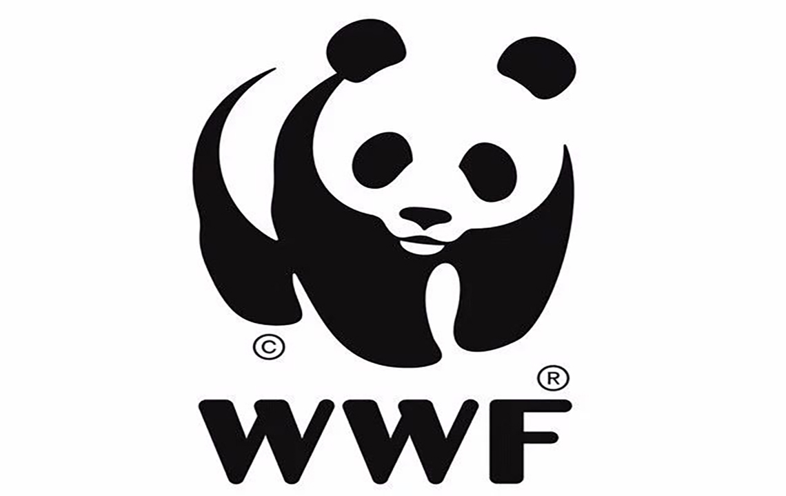 公益活动 | WWF世界自然基金会“水的旅程”项目走进长江中游