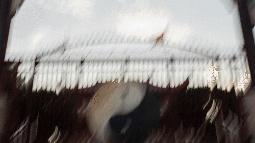 18.gif
