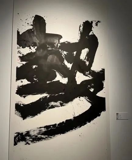5.jpeg