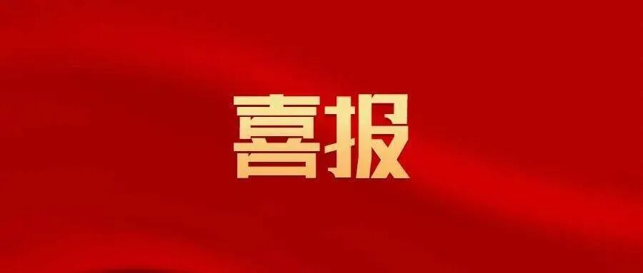 喜报｜我馆万琴策展方案入围国家级“策展100”项目